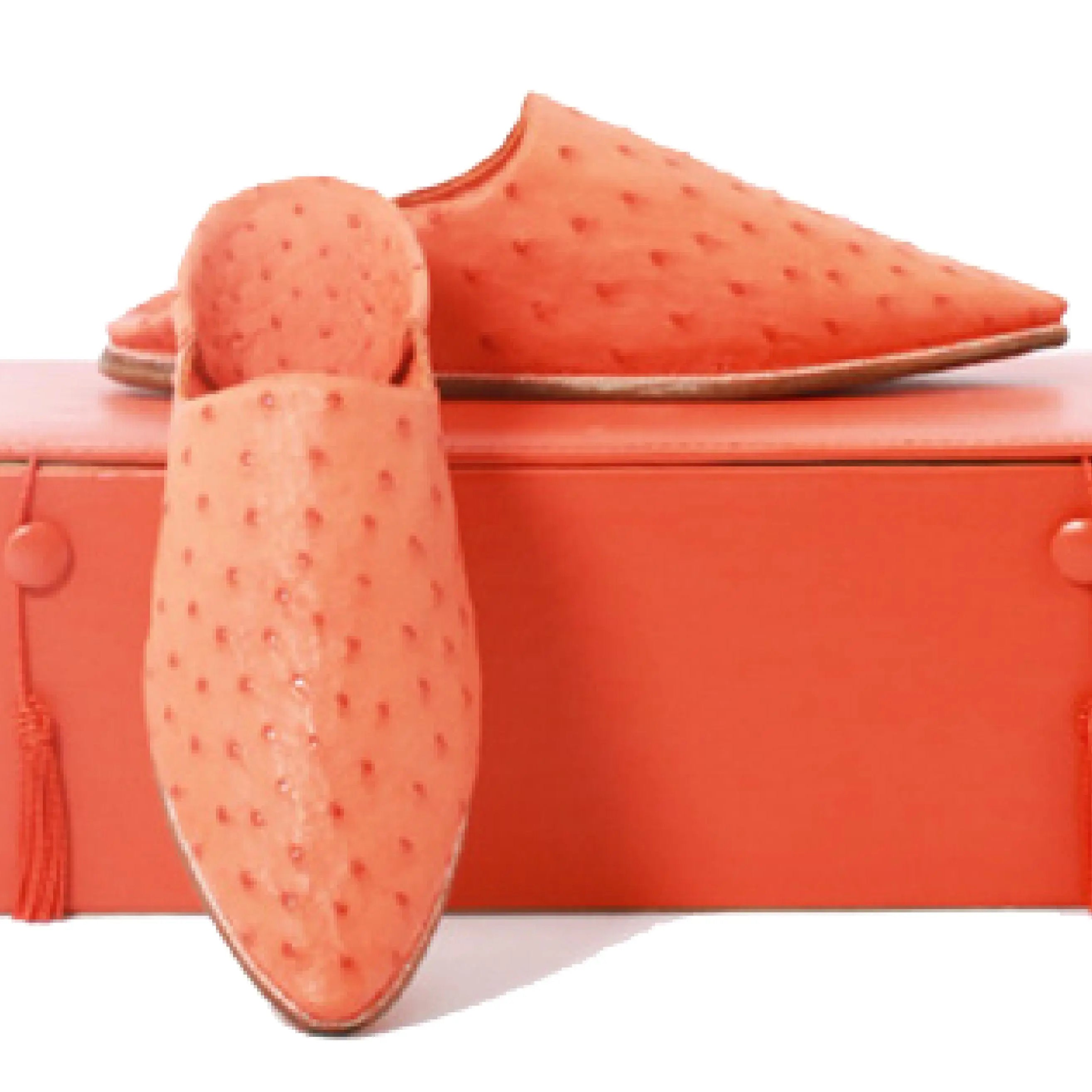 Biyadina Ostrich leather Slippers Biyadina Store