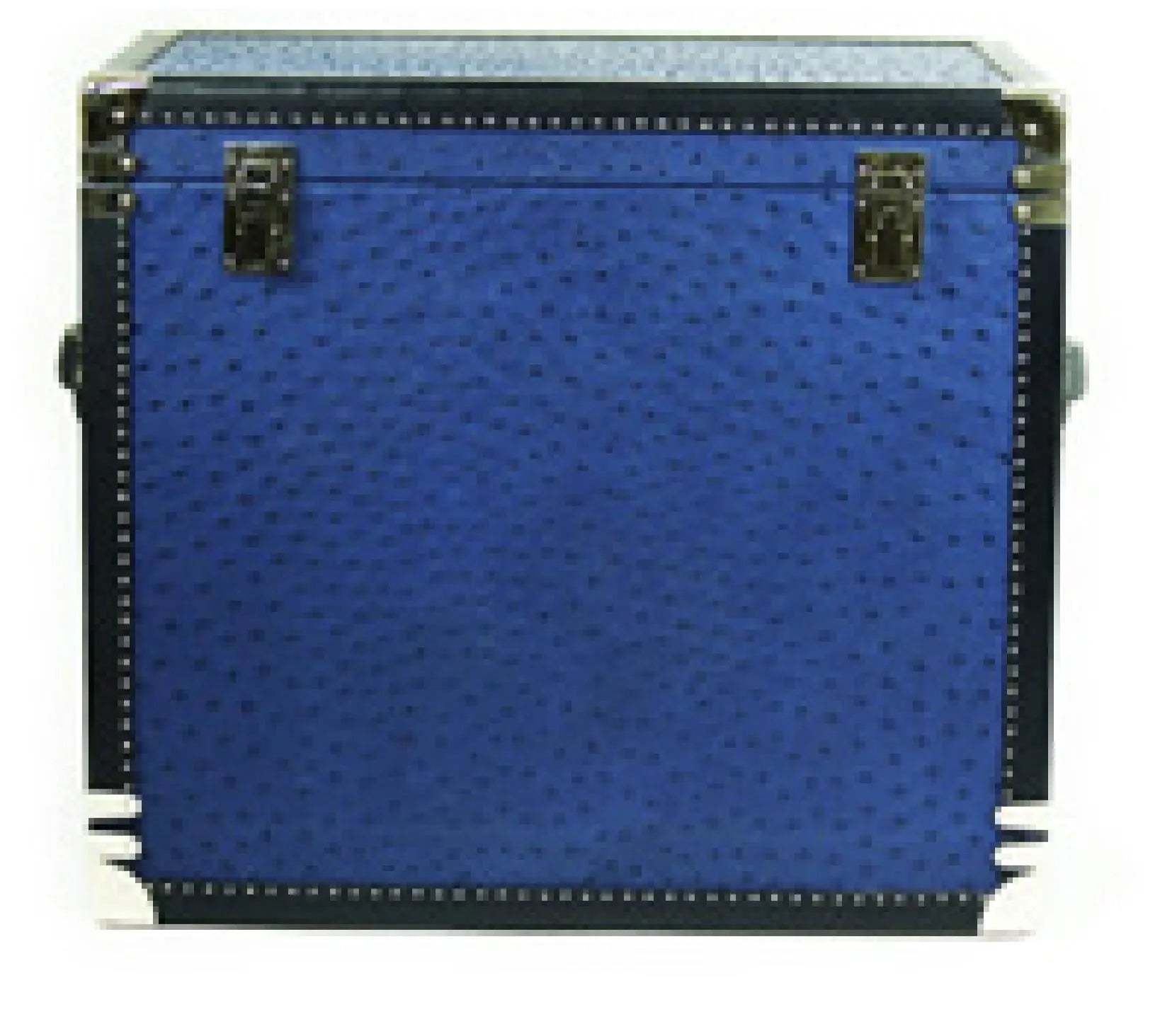 Biyadina WATCH TRUNK Ostrich leather Biyadina Store